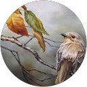 Moni Ros profile picture